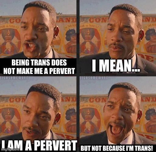 A Will Smith "Not Because I'm Black" meme with the texts being about not being a pervert because you're trans.