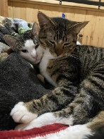 Cuddles