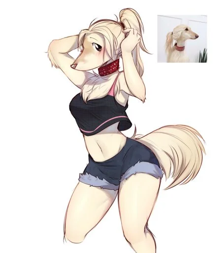 Multiple artist's Anthro interpretations of the saluki with a ponytail meme-picture from 2018