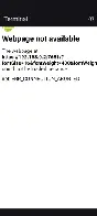 So the Linux Terminal is just a browser?