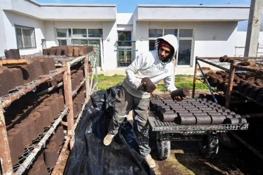 Tunisian startup turns olive waste into clean energy