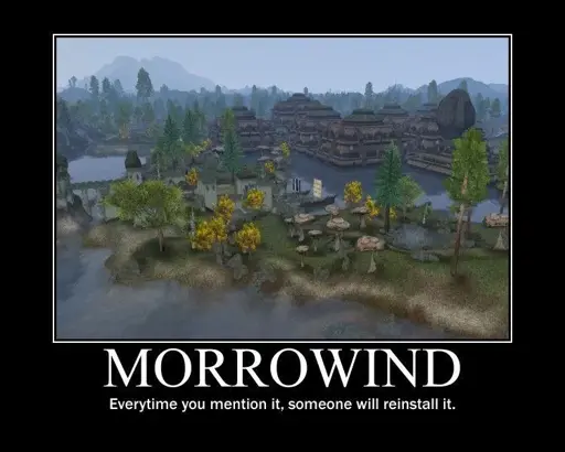 Morrowind. Everytime you mention it, someone will reinstall it