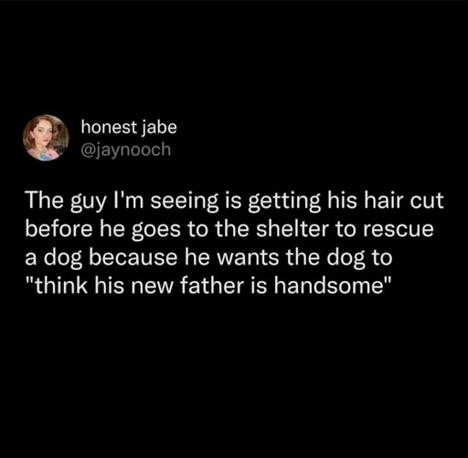 A post from honest jab (@jaynooch) saying <<The guy I'm seeing is getting his hair cut before he goes to the shelter to rescues a dog because he wants the dog to "think his new father is handsome">>