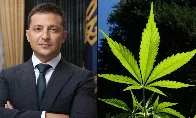 Ukraine's Zelensky signs medical marijuana bill, a step he says can heal 'pain, stress and trauma of war' with Russia