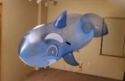 a photo of a whale-shaped pool floatie floating in the middle of an empty bedroom; the whale floatie has been heatstretched to over double its original size, making it more round and transparent like a balloon