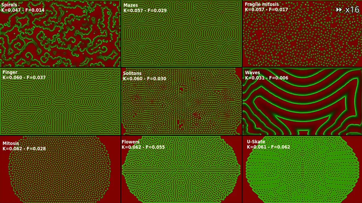 Mitosis in the Gray-Scott model : an introduction to writing shader-based chemical simulations