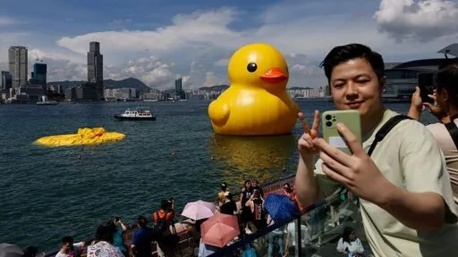 Enorme 'Nederlandse' badeend in haven Hongkong na 1 dag al leeggelopen