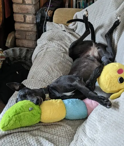 Comfort is a matter of perspective