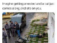 Pour tous ceux non abonnés à la commu c/cat