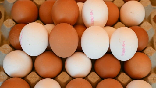 Eggkrise: Ber Norge om hjelp