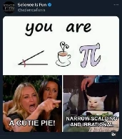 ∠🍵π