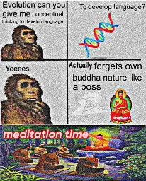 meditape