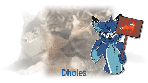 All About Dholes and Dhole Fursonas - Dhole Moments
