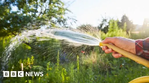 Thames Water issues hosepipe ban for 1.1m people