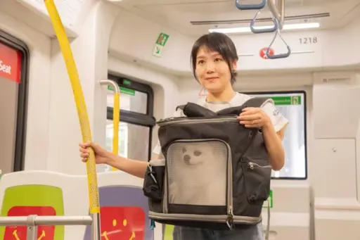 Trial to allow pets on Hong Kong’s light rail trains to be extended after positive public response