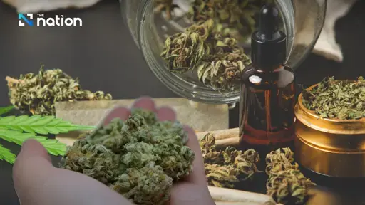 Thailand reclassifies cannabis bud as a controlled herb, restricts sales and advertising