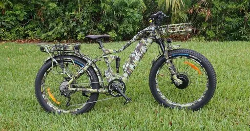 Popular high-power electric bike brand announces shutdown
