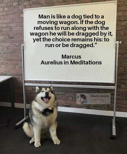 woof