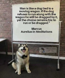 woof