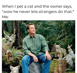It's the dream
