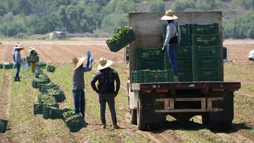 White House tries to assuage industry worries over migrant workers amid aggressive deportation campaign | CNN Politics