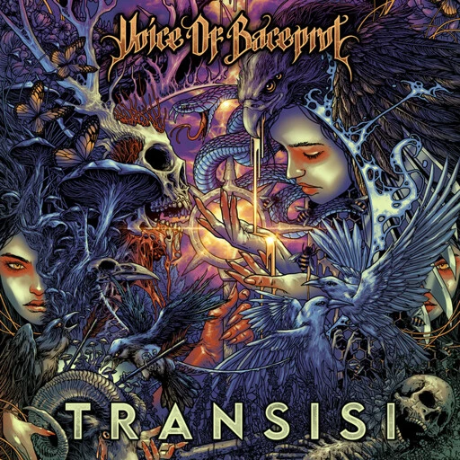 TRANSISI