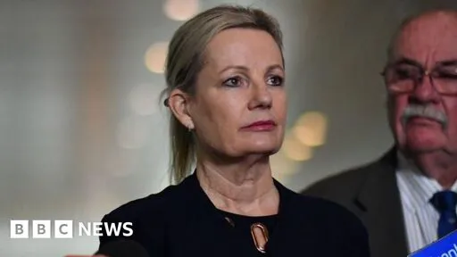 Sussan Ley: Australia's Liberal Party names first female leader