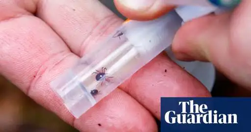 ‘Explosive increase’ of ticks that cause meat allergy in US due to climate crisis