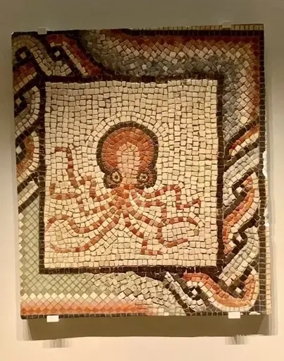 Imperial Roman Era Octopus Mosaic