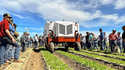 Lasers match common herbicides at zapping East Coast weeds