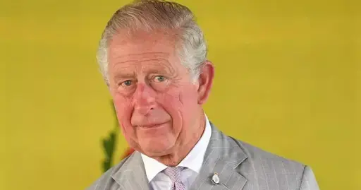 The truth behind King Charles' body guard's 'fake arms'
