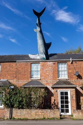 Headington Shark - Wikipedia