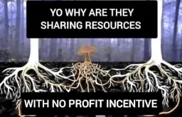 A deathcap mushroom flanked by two trees with interconnected roots. "Yo why are they sharing resources with no profit incentive"