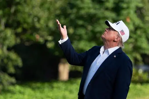 'Negotiating with Donald Trump is like playing chess with a pigeon'