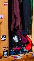 A fluffy cat peeks out from a pile of clothes inside a wooden wardrobe. Several colorful garments are visible, along with various stickers on the wardrobe's surface.