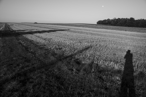 Daylight monochrome outdoor photo.
A dense crowd of 1 and a couple of shadows paying tribute to Astarté