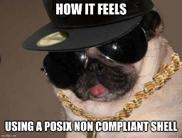 "How it feels using a posix non compliant shell" Picture of a pug with a cappy, a golden chain and sunglasses