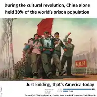 20% of the worlds prison population