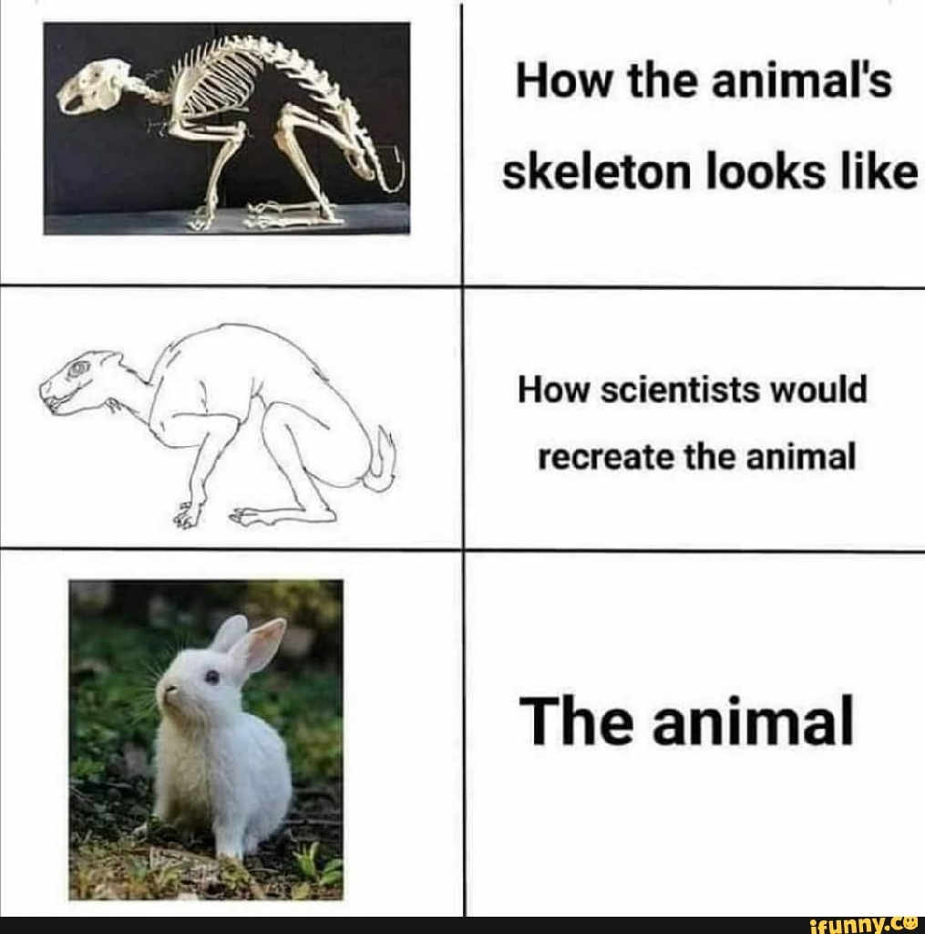 1000010737