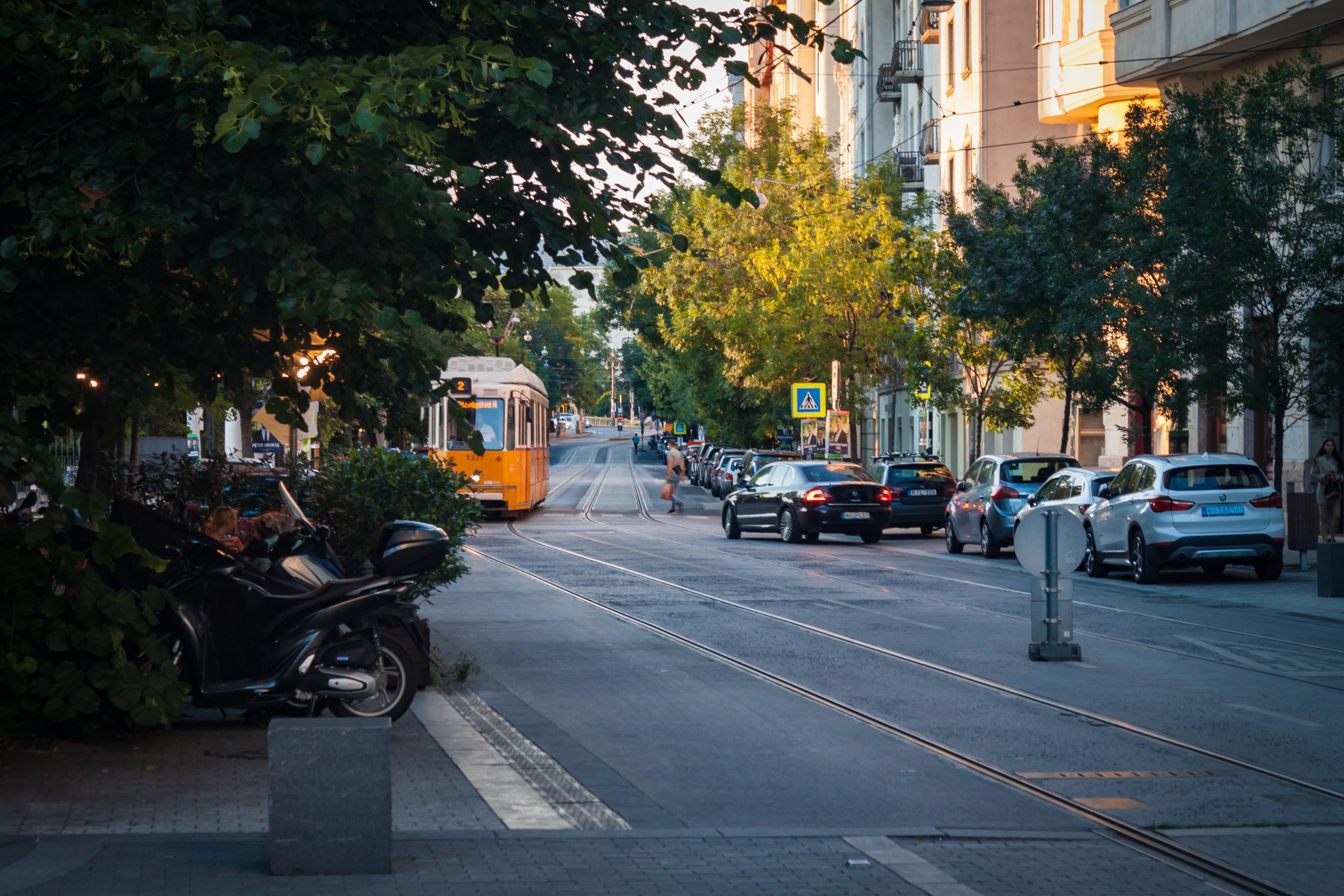 Budapest tram approaching, tracks are on the street and the tram is in the distance, behind some bushes. The scene looks calm and cozy to me