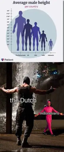 Chart showing average height, but incorrectly scales the entire person instead of just the height, with the Netherlands as the tallest and Indonesians as the shortest. Bottom image is the Bane vs. Pink guy meme showing Bane as the Dutch and Pink guy as the Indonesians. 