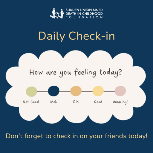 Daily Check-in