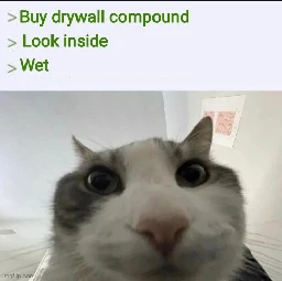 anon patches a hole