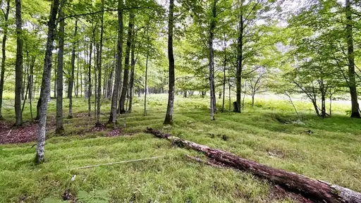 Drone tech uncovers 1,000-year-old native american farms in michigan