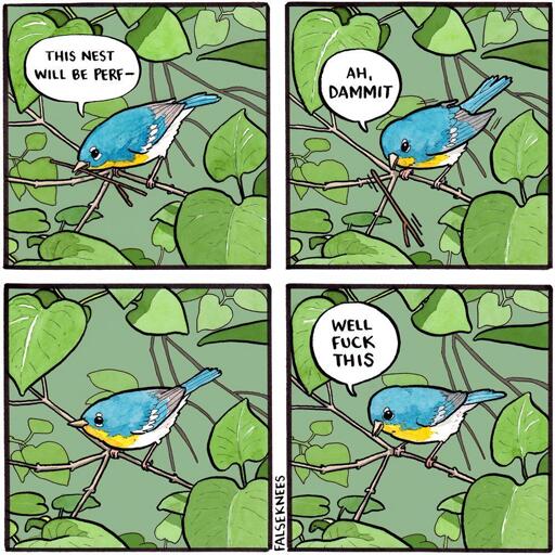 A northern parula places a small twig across a branch in a tree saying "This nest will be perf–". The twig falls off. "Ah, dammit". The bird stares off for a moment. "Well fuck this"