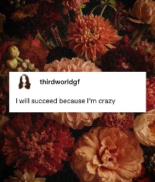 I will succeed because I'm crazy