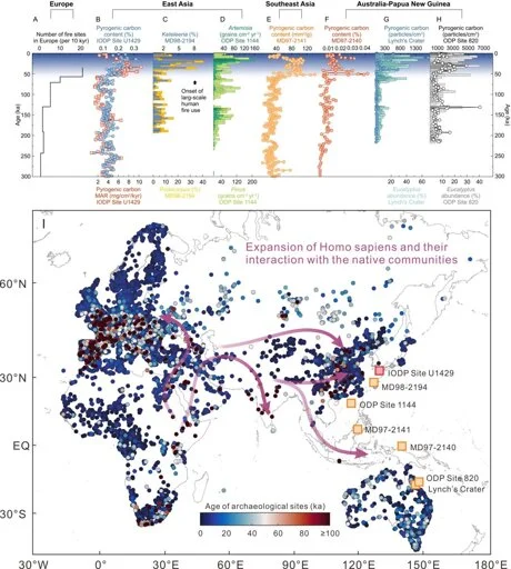 Carbon record reveals evidence of extensive human fire use 50,000 years ago