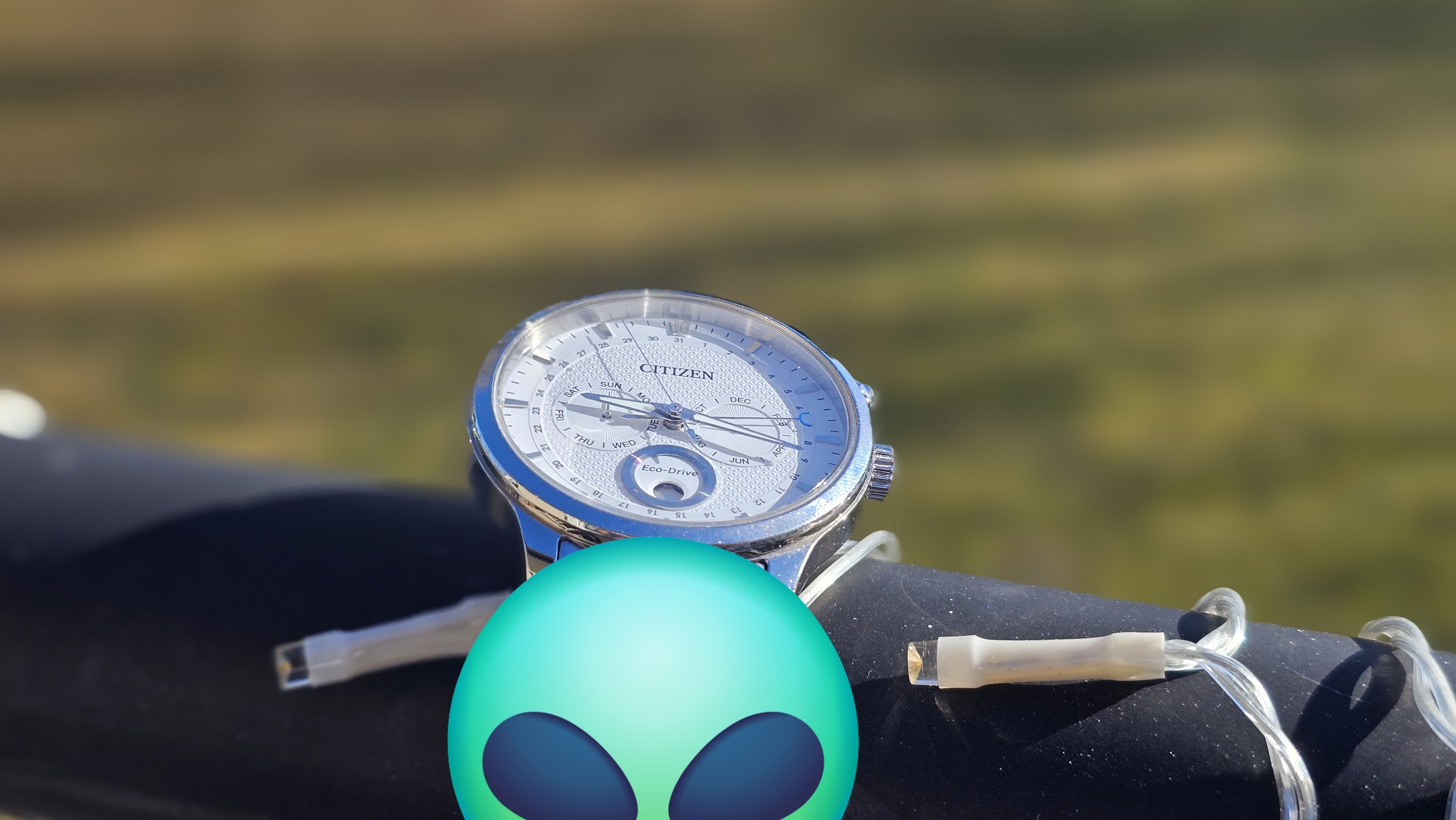 Pic showing Citizen Eco Drive Three Calendar Moon Phase watch kept on a balcony railing with green fields in the background.