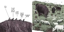 A short comic consisting of two frames. 

The left shows five birds standing on a brown hairy surface. They are engaged in conversation: 
- "I feel safer here." 
- "Yes. This provider doesn't want to steal my artwork."
- "Doesn't collect data about me."
- "Isn't this a bit more uncomfortable?"
- "Comfortable enough, I'd say"

The right panel pans out, showing that the birds are standing on the back of a mammoth/mastodon. They are situated in a field full of other grazing mastodons, along with other mammals.