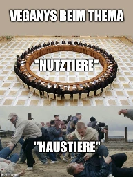 Veganys beim Thema "Nutztiere": einig und geordnet. Veganys beim Thema "Haustiere": starke Differenzen.